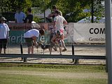 Golden Rabbit European Sandtrack-Derby Th. Ernst (116)